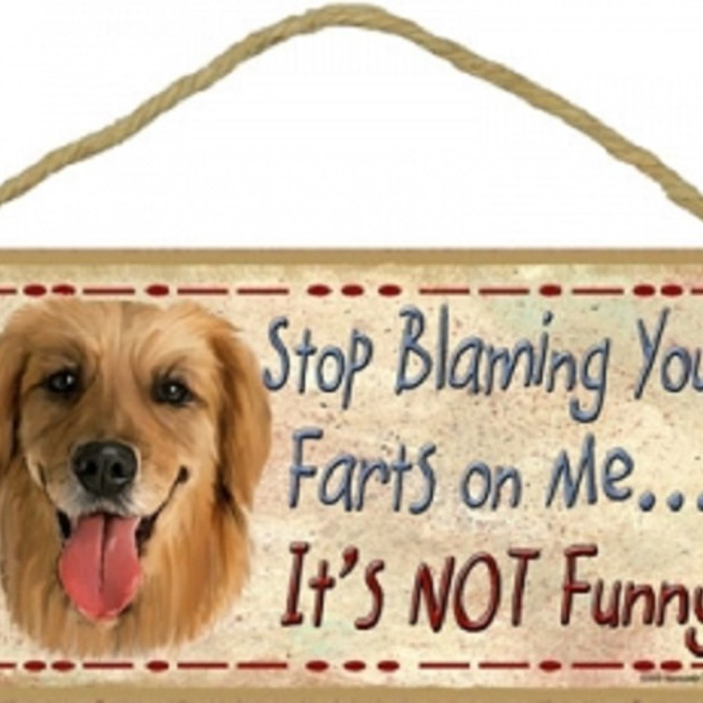 Stop blaming your farts on me plaques- Golden